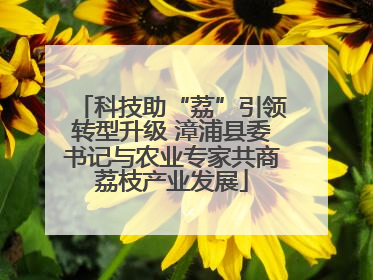 科技助“荔”引领转型升级 漳浦县委书记与农业专家共商荔枝产业发展